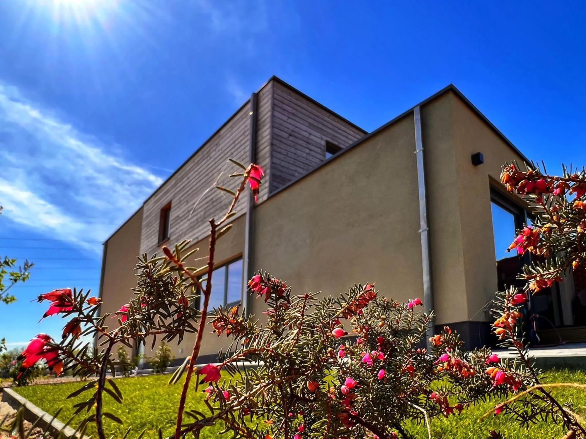 Inova Guesthouse Hasselt Dış mekan fotoğraf